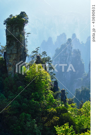 Zhangjiajie mountains, China 43690631