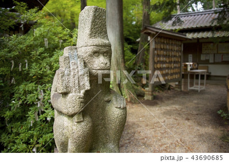 猿丸神社の猿の石像（京都府） 43690685