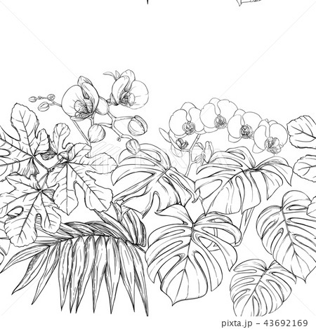 Tropical plants and flowers. Seamless pattern, background. Vector illustration. Tropical plants and flowers. Seamless pattern, background. Vector illustration. 43692169