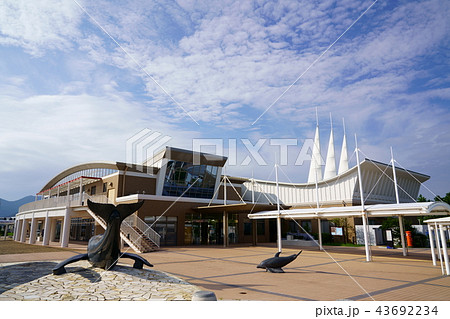 [長崎県]有川港フェリーターミナル 43692234