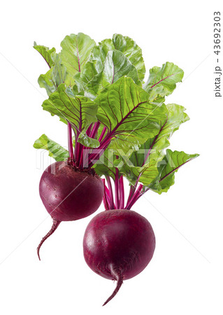 2 beet roots with leaves isolated on white 2 beet roots with leaves isolated on white 43692303