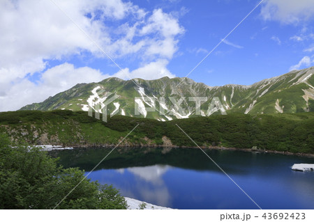 残雪が残る夏のみくりが池と立山連峰 43692423