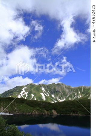 残雪が残る夏のみくりが池と立山連峰 43692425