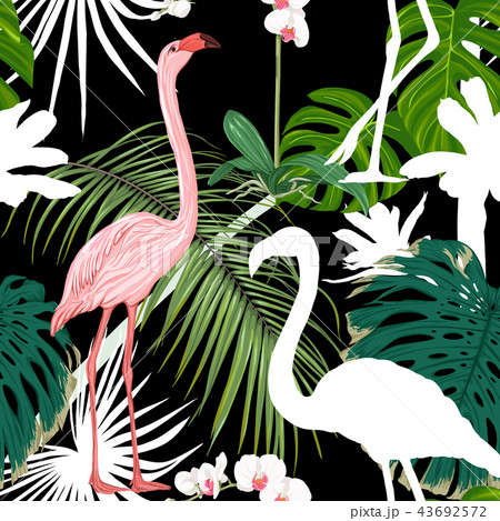 Seamless pattern, background. with tropical plants and flowers with white orchid flowers and Seamless pattern, background. with tropical plants and flowers with white orchid flowers and 43692572