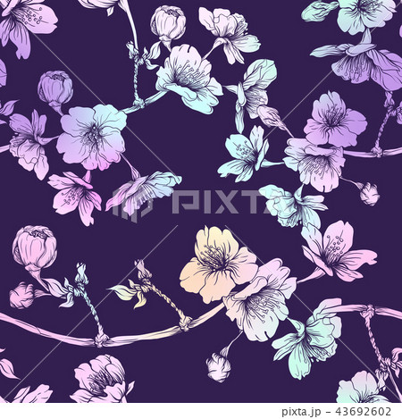 Seamless pattern, background with blooming cherry japanese sakura 43692602