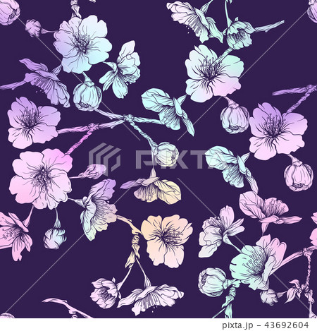 Seamless pattern, background with blooming cherry japanese sakura 43692604