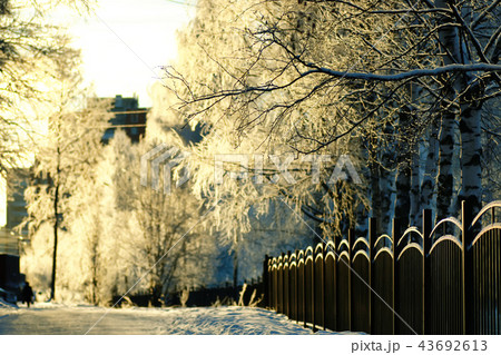 fence covered snow winter park fence covered snow winter park 43692613