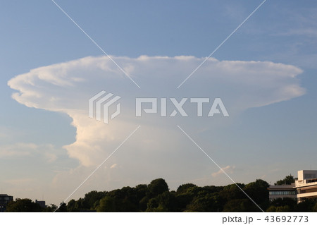 金床雲の写真素材