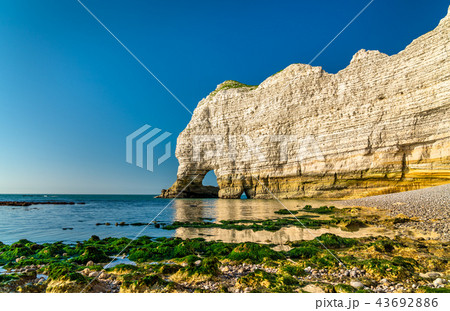 Natural chalk arch at Etretat, France 43692886