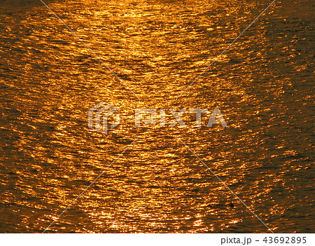 Reflection of The River Reflection of The River 43692895