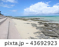 久米島　奥武島の畳石 43692923