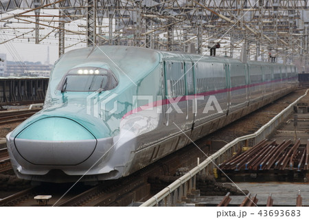 東北新幹線E5系（単独） 43693683