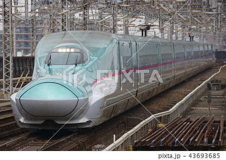 東北新幹線E5系（単独） 43693685