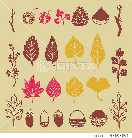 秋の葉っぱと木の実 イラストセットのイラスト素材