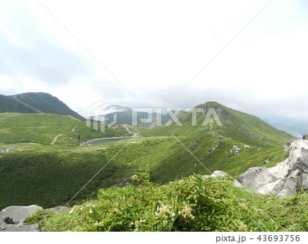 真夏のくじゅう 43693756