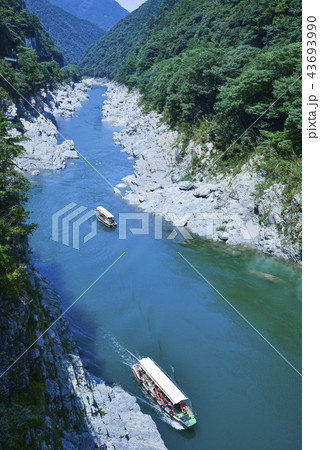 夏の大歩危峡の船下り 43693990