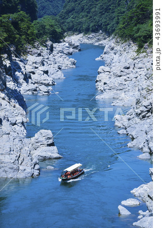 大歩危峡の船下り 43693991