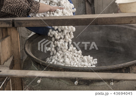 processing silkworm cocoons to make rope processing silkworm cocoons to make rope 43694045