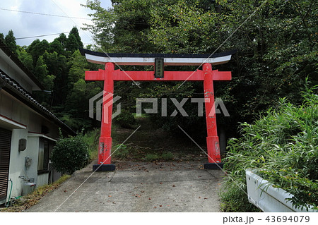 市比野神社 43694079
