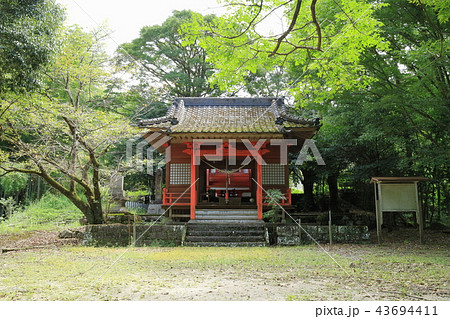 市比野神社 43694411