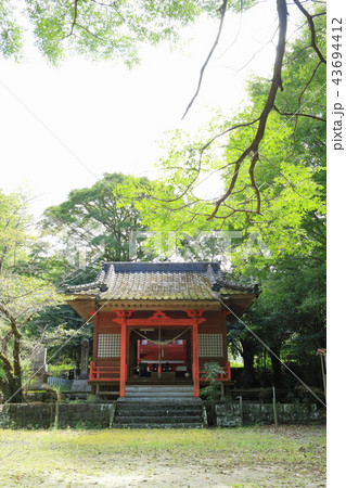 市比野神社 市比野神社 43694412