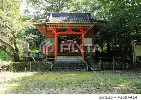 市比野神社 市比野神社 43694414