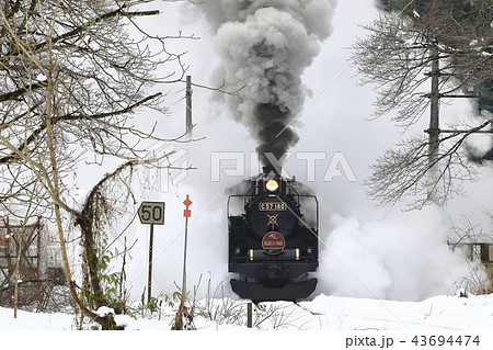 雪景色の磐越西線SL 雪景色の磐越西線SL 43694474
