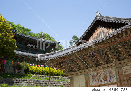 麻谷寺 公州市 古建築 43694783