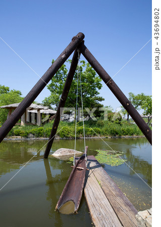 池 水 碧骨堤 43694802