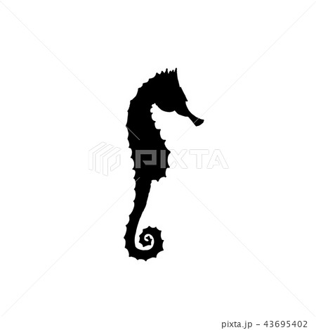 Vector Illustration Of Black Seahorse Silhouetteのイラスト素材