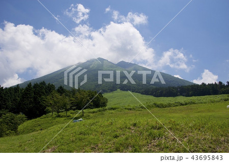桝水高原から望む大山 桝水高原から望む大山 43695843