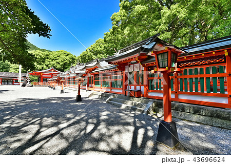 熊野速玉神社 43696624