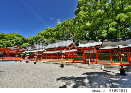 熊野速玉神社 43696651