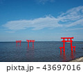 太良町の海中鳥居 43697016