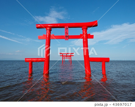 太良町の海中鳥居 43697017