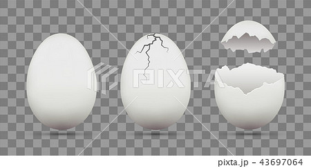 Set Of White Chicken Eggs Shell With Cracks のイラスト素材