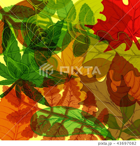 Background of hand drawn colorful autumn leaves. 43697082