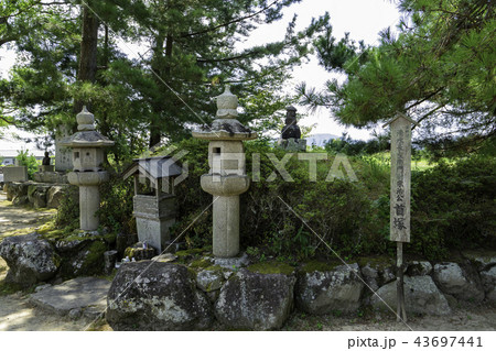 備中高松城水攻め 備中高松城水攻め 43697441