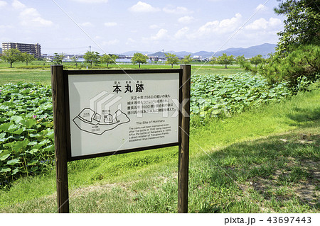 備中高松城水攻め 備中高松城水攻め 43697443