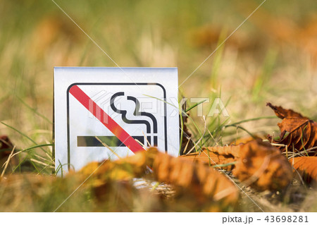 No smoking sign in the nature with autumn leaves No smoking sign in the nature with autumn leaves 43698281