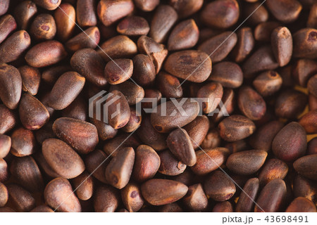 Pine nuts in shells of ciberian cedar as a background. Macro Pine nuts in shells of ciberian cedar as a background. Macro 43698491