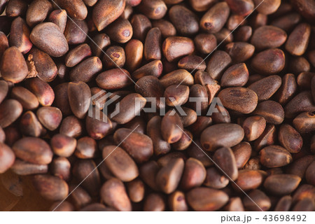 Pine nuts in shells of ciberian cedar as a background. Macro Pine nuts in shells of ciberian cedar as a background. Macro 43698492