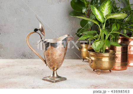 Vintage metal coffee pot and green plants 43698563