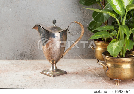 Vintage metal coffee pot and green plants 43698564