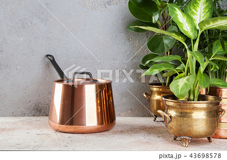 Vintage copper casserole and green plants Vintage copper casserole and green plants 43698578