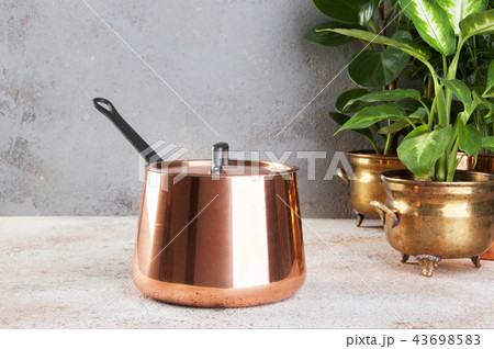 Vintage copper casserole and green plants 43698583
