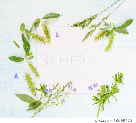 Frame with herbs and flowers 43699472