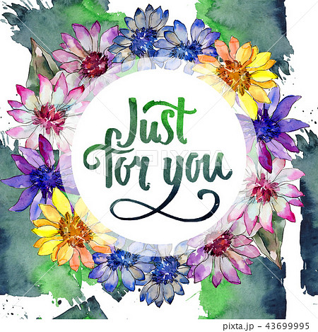 Watercolor colorful african daisy flower. Floral botanical flower. Frame border ornament square. 43699995