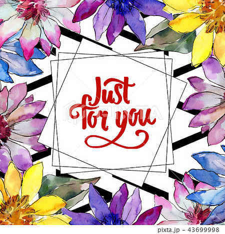 Watercolor colorful african daisy flower. Floral botanical flower. Frame border ornament square. 43699998