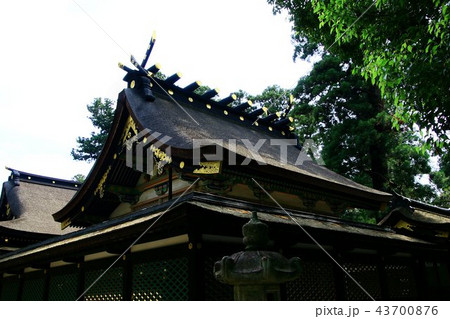 香取神宮 43700876